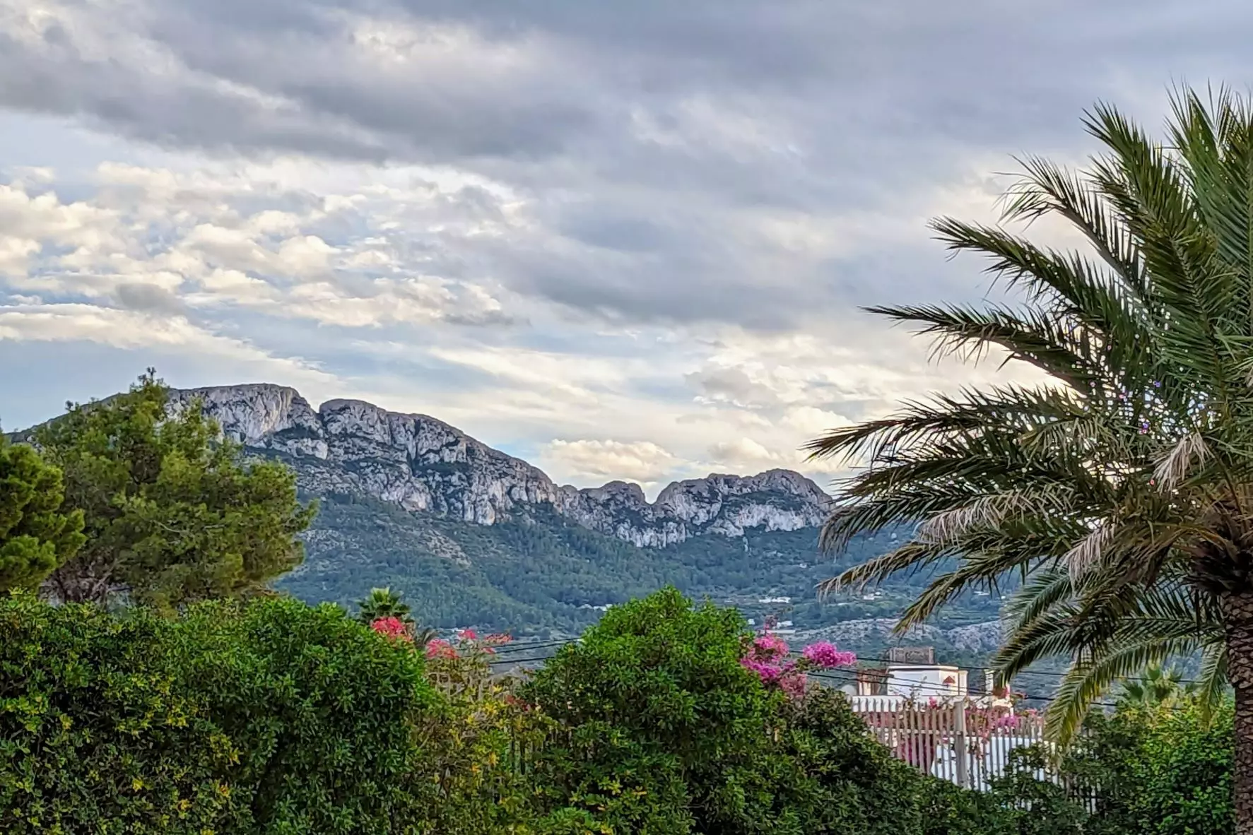 Plot In Denia, Spain (1.315 M² Plot)