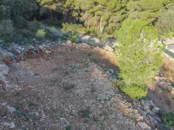 Plot In Pego, Spain (1.215 M² Plot)