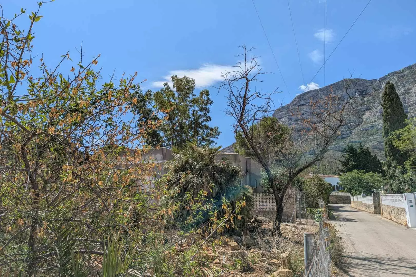 Plot In Denia, Spain (1.240 M² Plot)