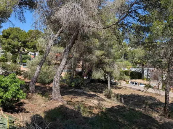 Plot In Moraira, Spain (2.503 M² Plot)
