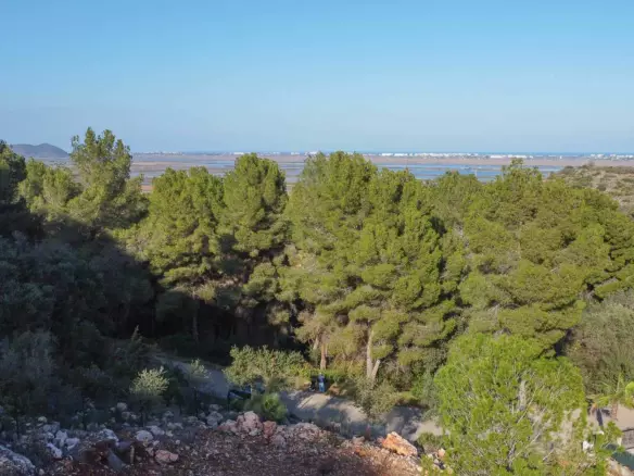 Plot In Pego, Spain (1.215 M² Plot)