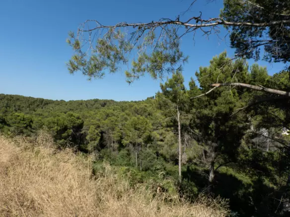 Plot In Jávea – Xàbia, Spain (1.100 M² Plot)
