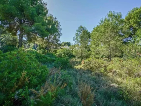 Plot In Jávea – Xàbia, Spain (2.700 M² Plot)