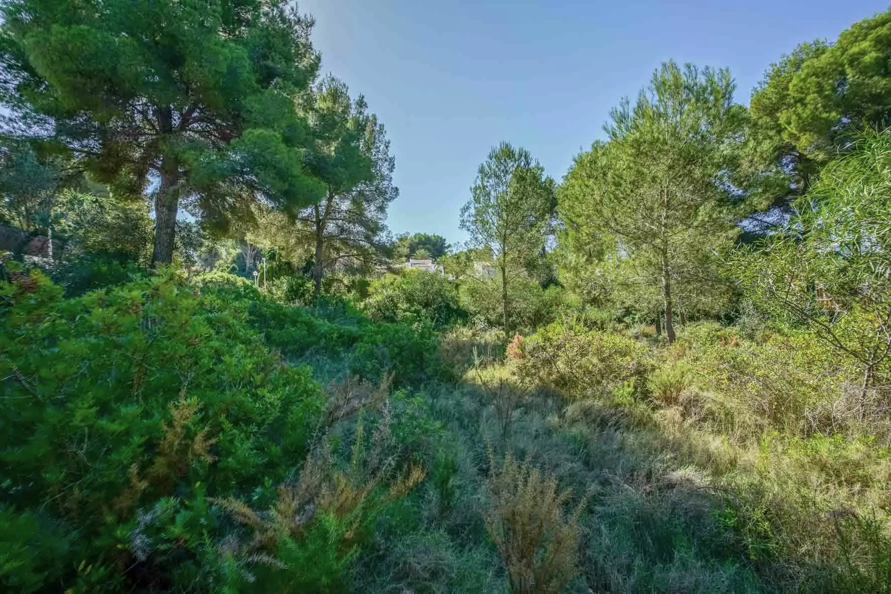 2-7-3ff4ae Plot In Jávea – Xàbia, Spain (2.700 M² Plot)