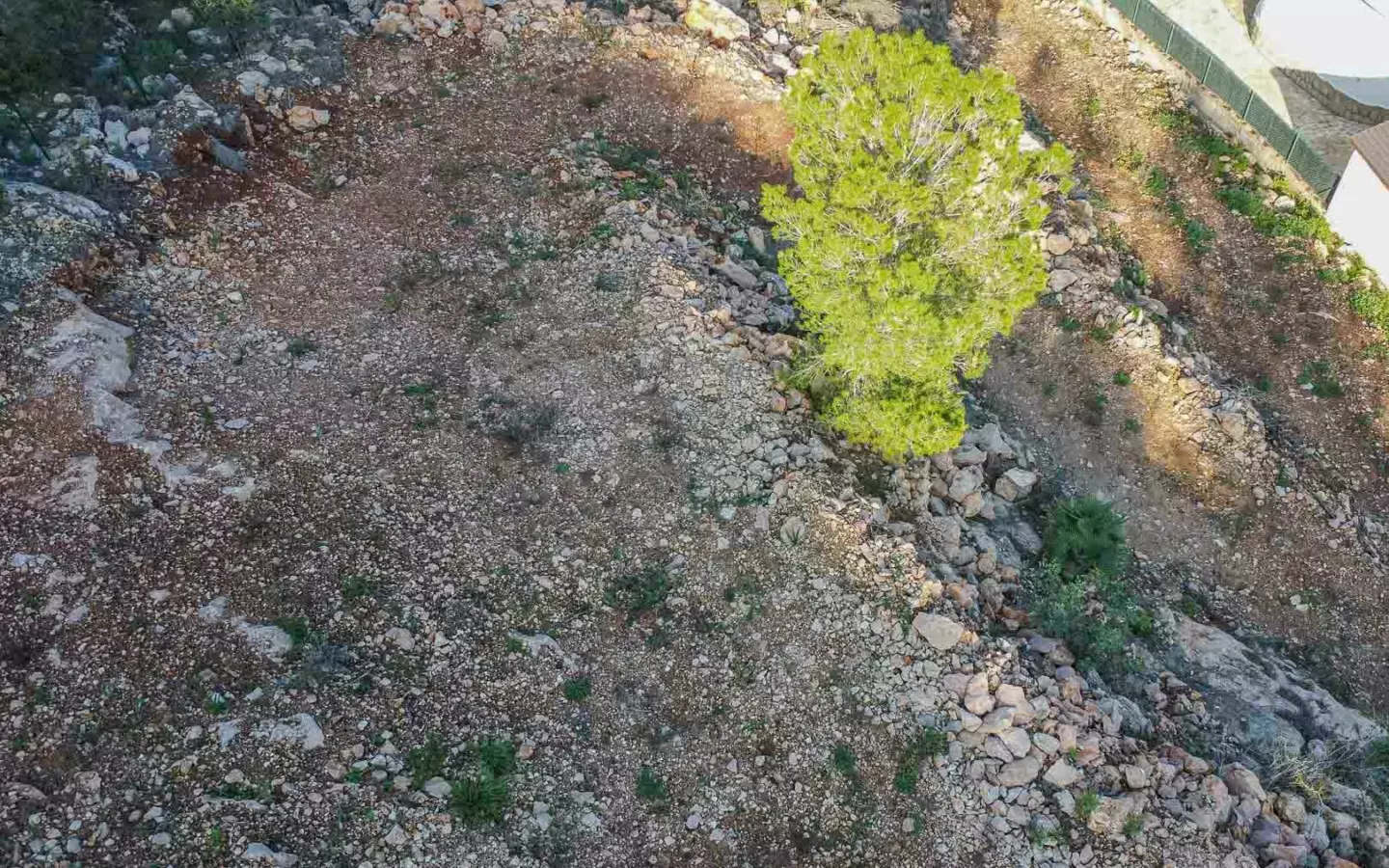 Plot In Pego, Spain (1.215 M² Plot)