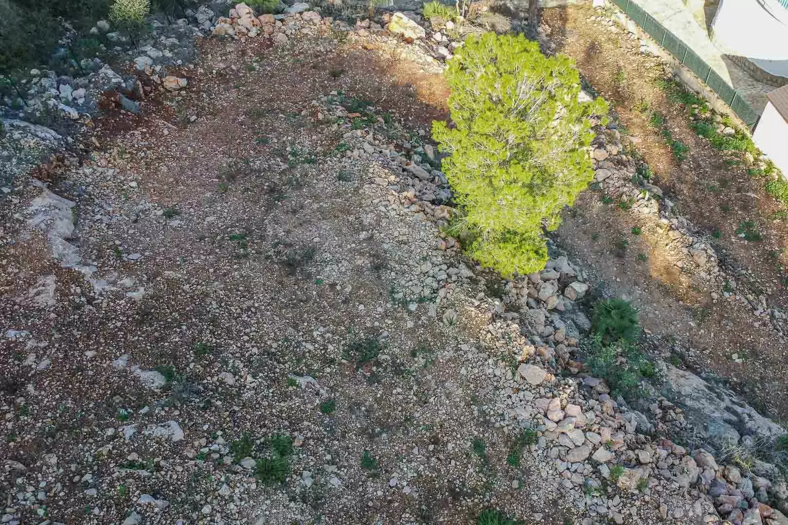 2-7-a6c52a Plot In Pego, Spain (1.215 M² Plot)