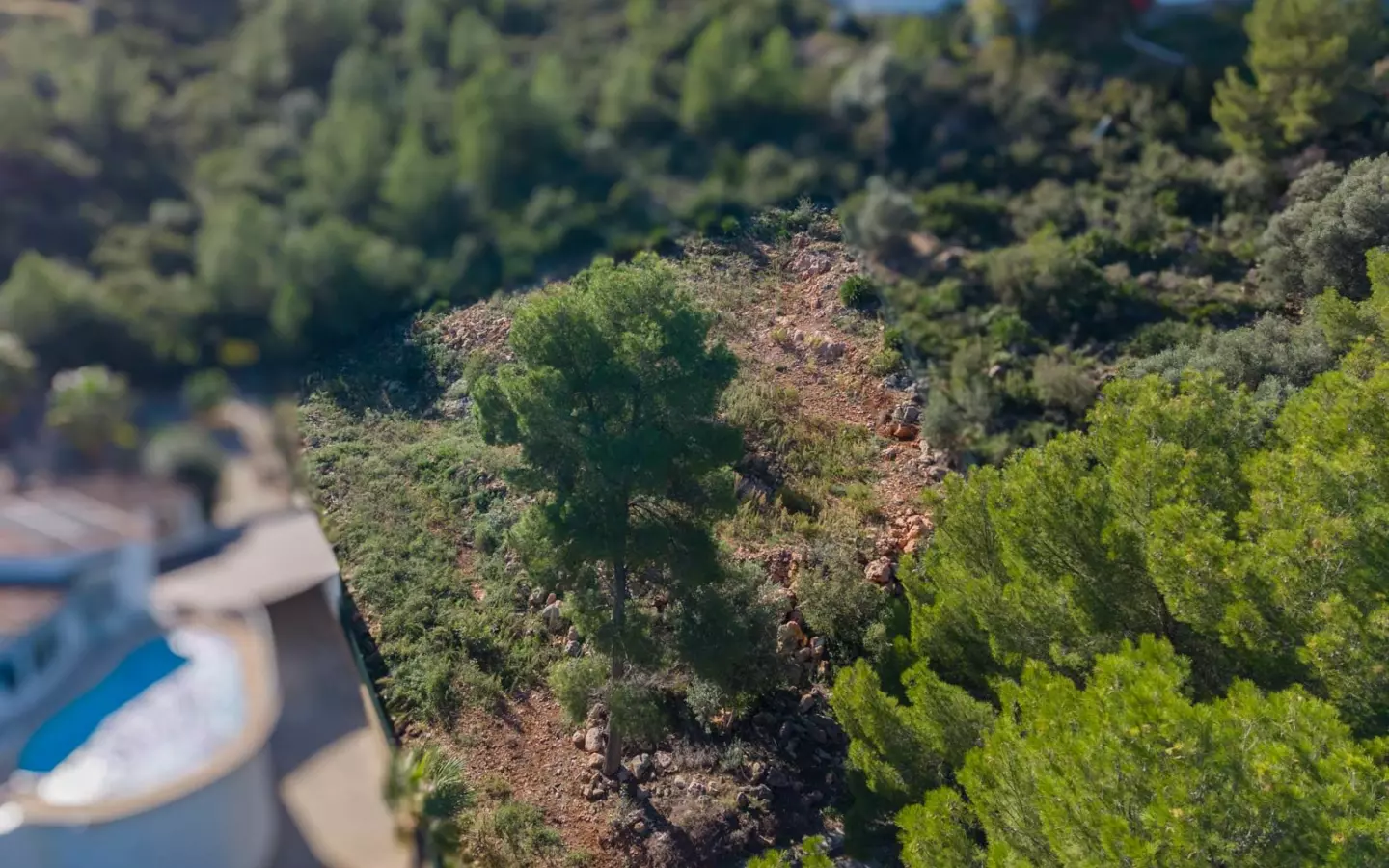 Plot In Pego, Spain (1.215 M² Plot)