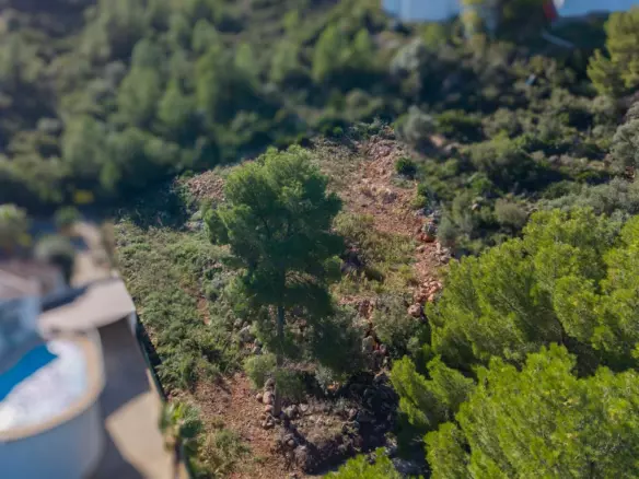 Plot In Pego, Spain (1.215 M² Plot)