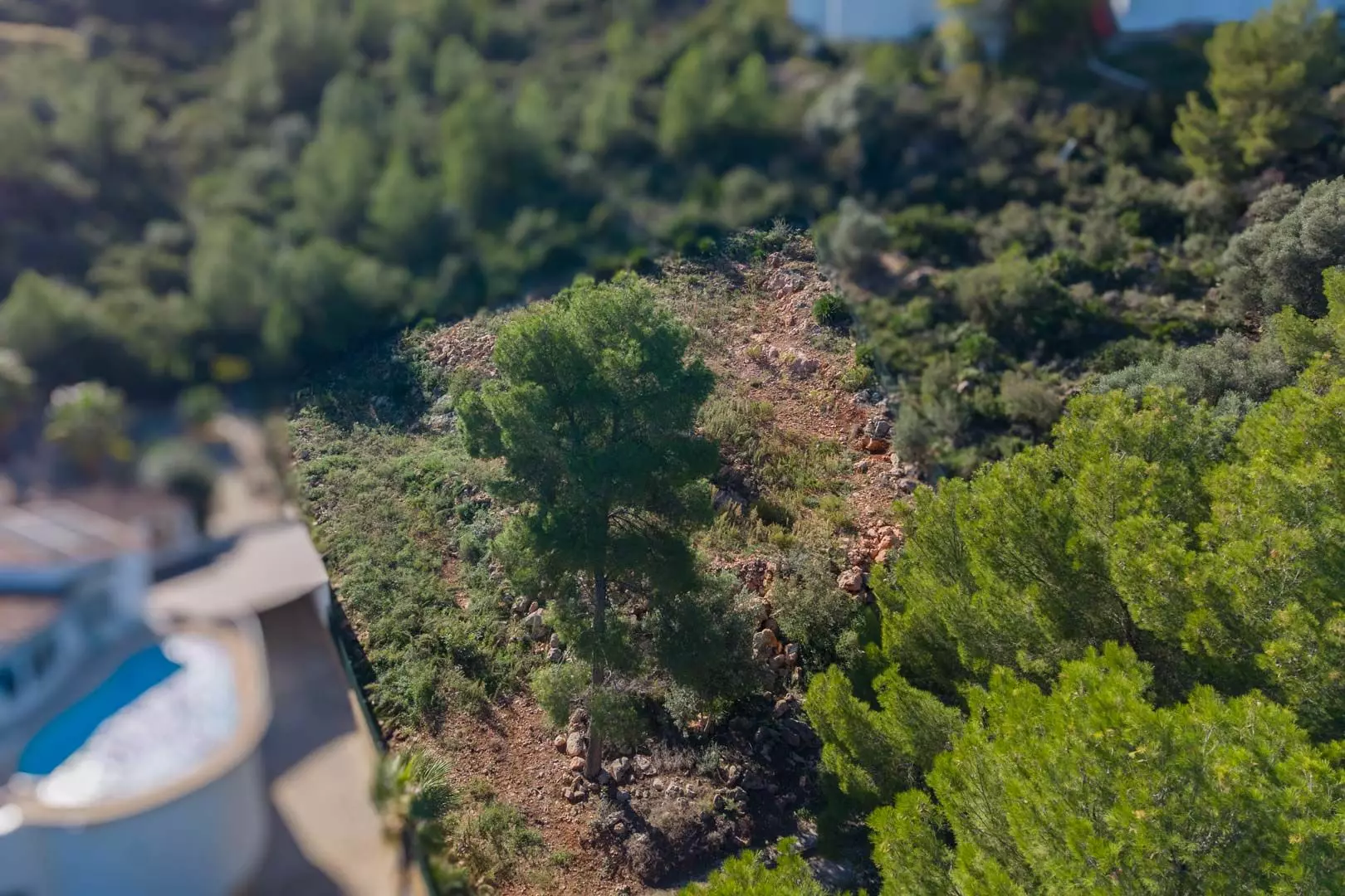 2-9-323a05 Plot In Pego, Spain (1.215 M² Plot)