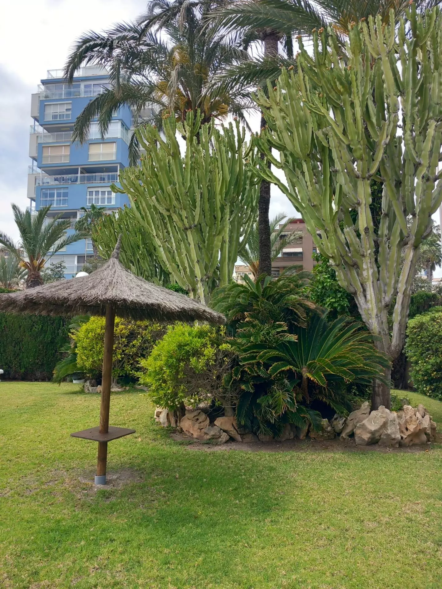 4-19-0ca251 2-bedroom Apartment In Alicante, Spain (88 M²)