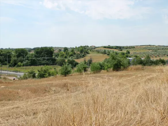 Land In Kolindros, Greece