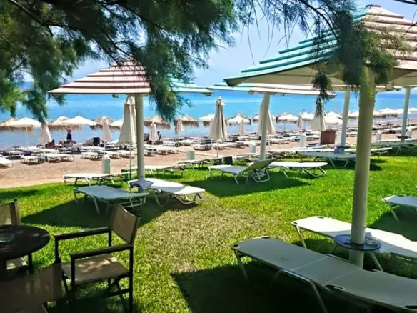 Business In Paralia, Greece (6.000 M²)