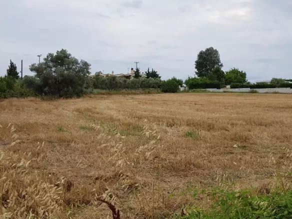 Land In Kassandra, Greece