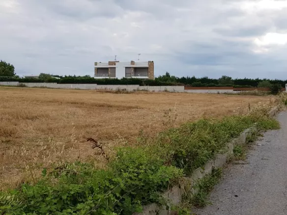 Land In Kassandra, Greece