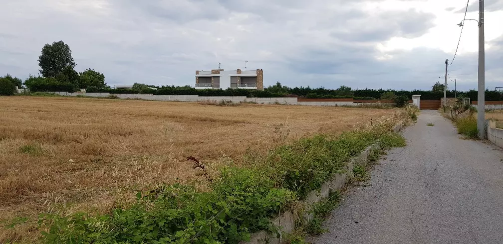 Land In Kassandra, Greece