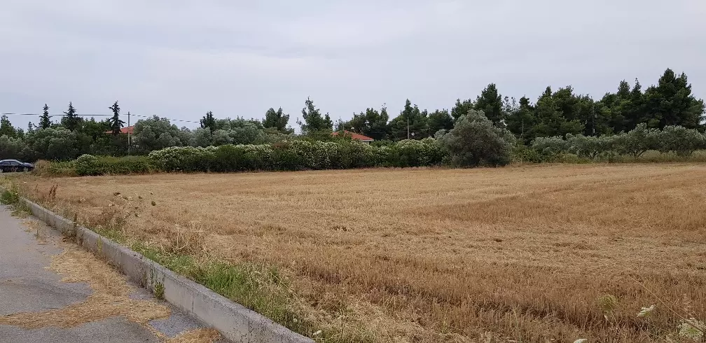 Land In Kassandra, Greece