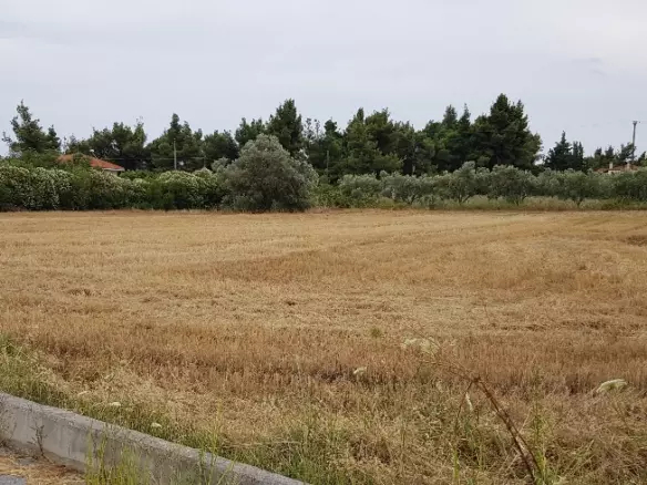 Land In Kassandra, Greece