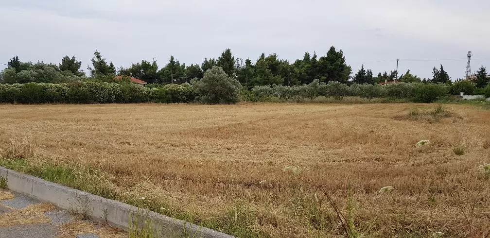 Land In Kassandra, Greece