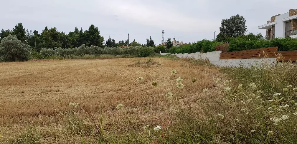 Land In Kassandra, Greece