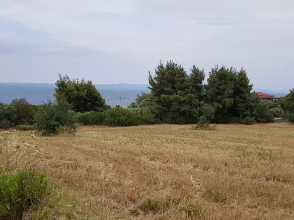 Land In Kassandra, Greece