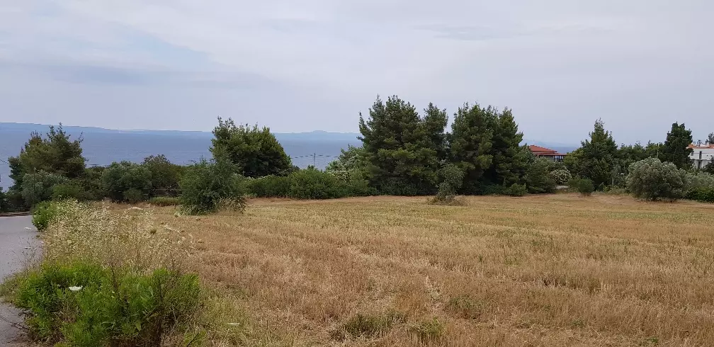 Land In Kassandra, Greece
