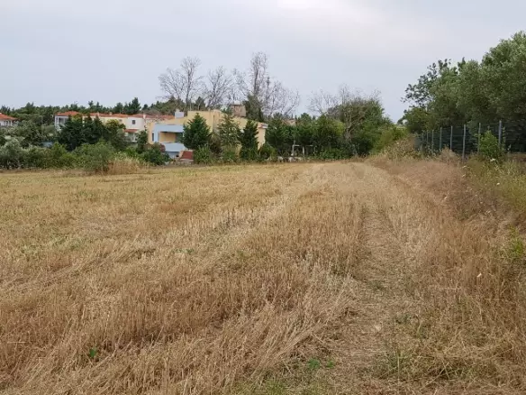 Land In Kassandra, Greece