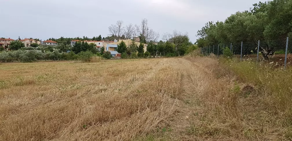 Land In Kassandra, Greece