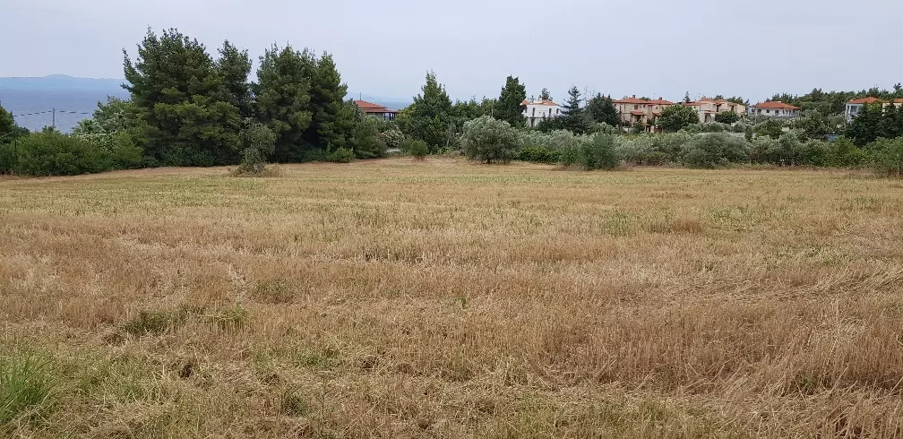 Land In Kassandra, Greece