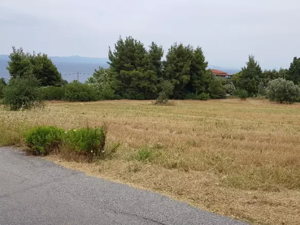 Land In Kassandra, Greece