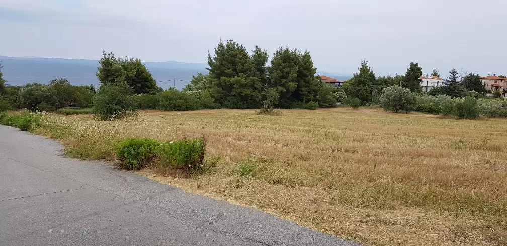 Land In Kassandra, Greece