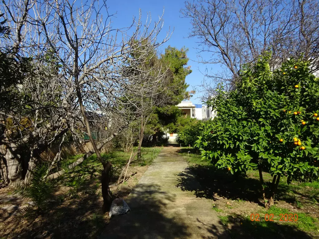Land In Agia Paraskevi, Greece