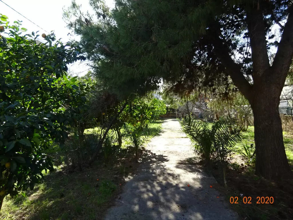 Land In Agia Paraskevi, Greece