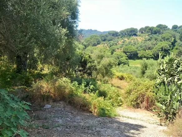 Land In Corfu, Greece