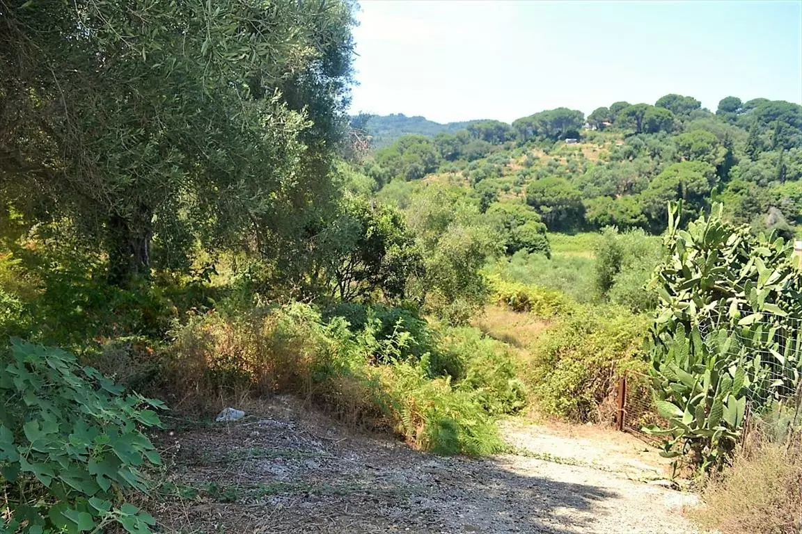 Land In Corfu, Greece