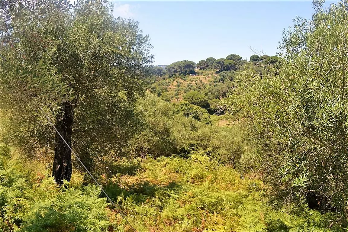 Land In Corfu, Greece