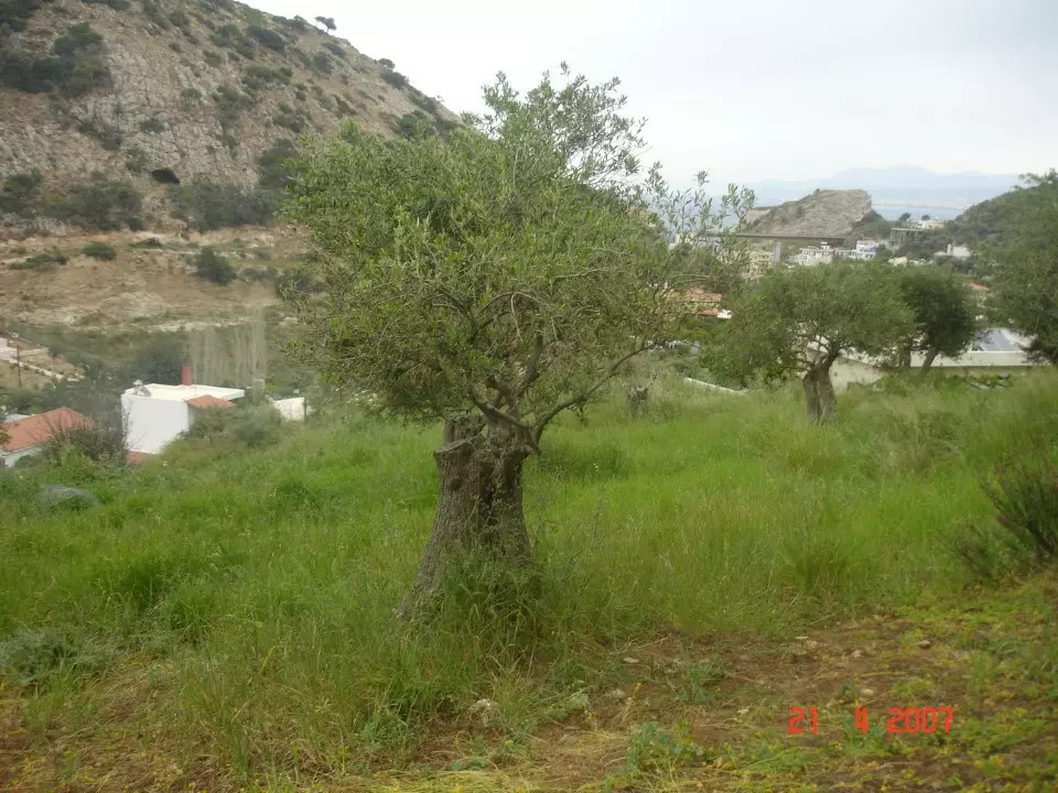 Land In Gazi, Greece