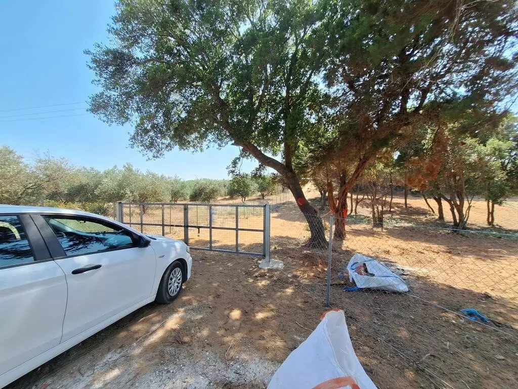 Land In Corfu, Greece