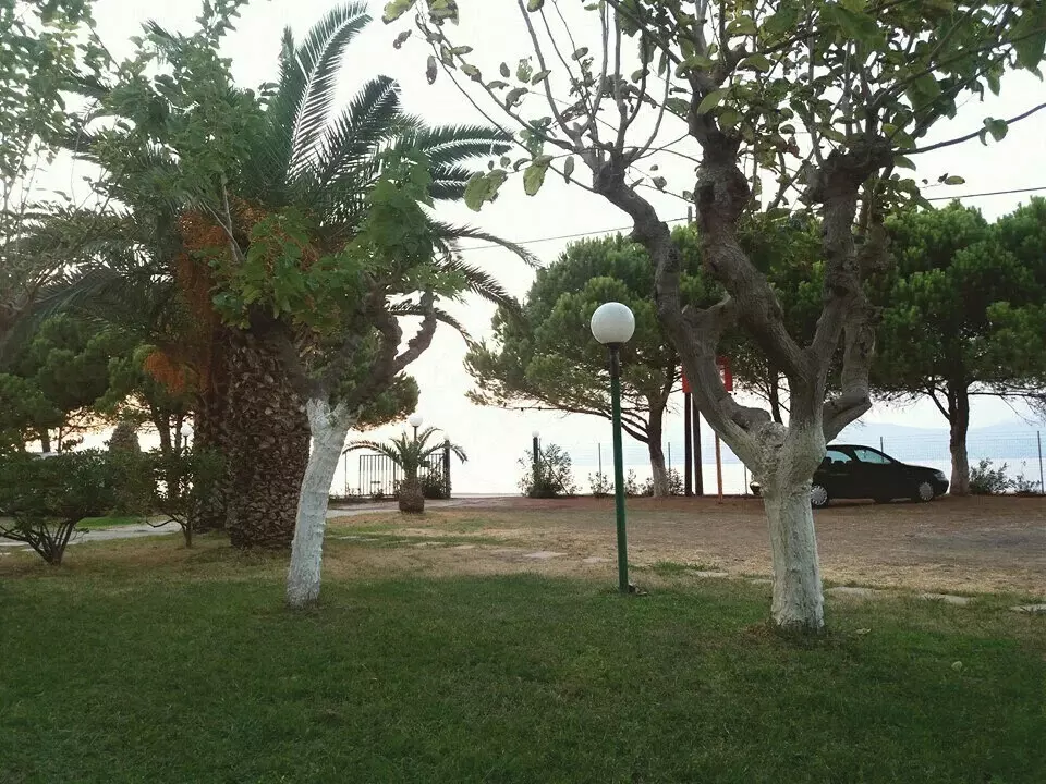 Building In Diakopto, Greece (760 M²)
