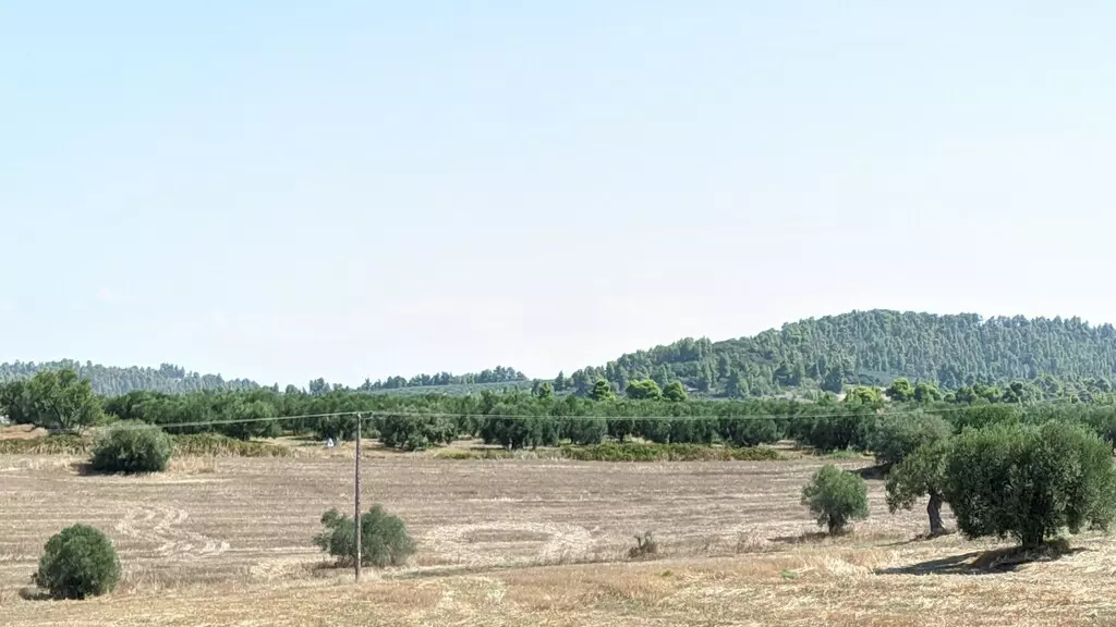 Land In Kassandra, Greece