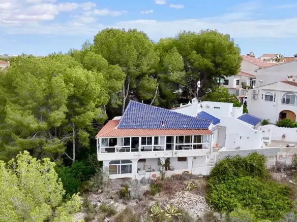 3-bedroom Villa In Pilar De La Horadada, Spain (217 M²)