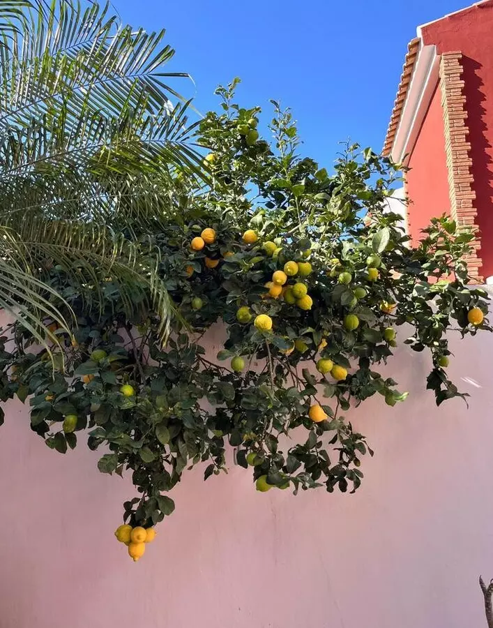 4-bedroom Semi In Pilar De La Horadada, Spain (155 M²)