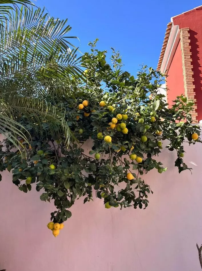 4-bedroom Semi In Pilar De La Horadada, Spain (155 M²)