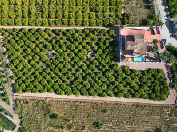 5-bedroom Villa In Orihuela, Spain (495 M²)