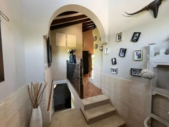 6-bedroom Villa In Elche, Spain (5.500 M²)