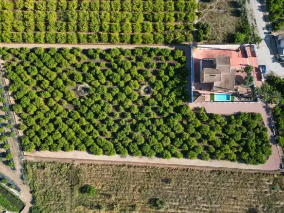 5-bedroom Country House In Orihuela, Spain (495 M²)