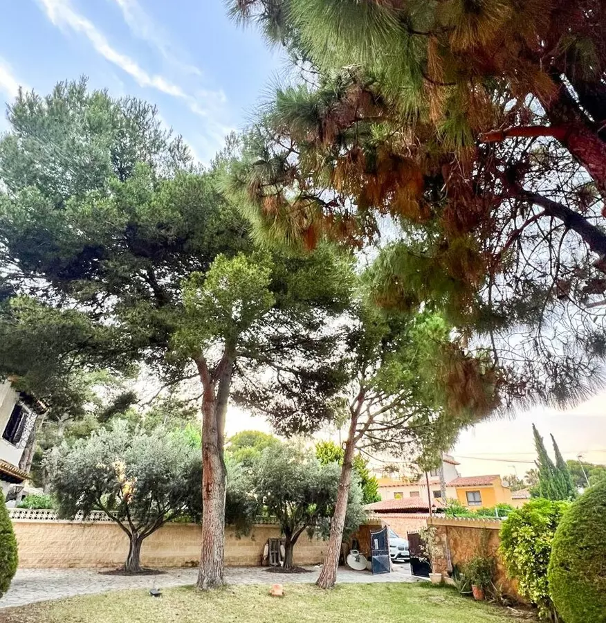 4-bedroom Villa In Orihuela Costa, Spain (200 M²)