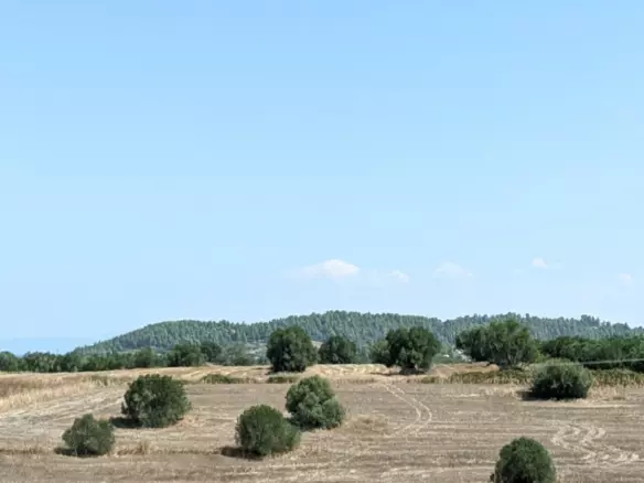 Land In Kassandra, Greece