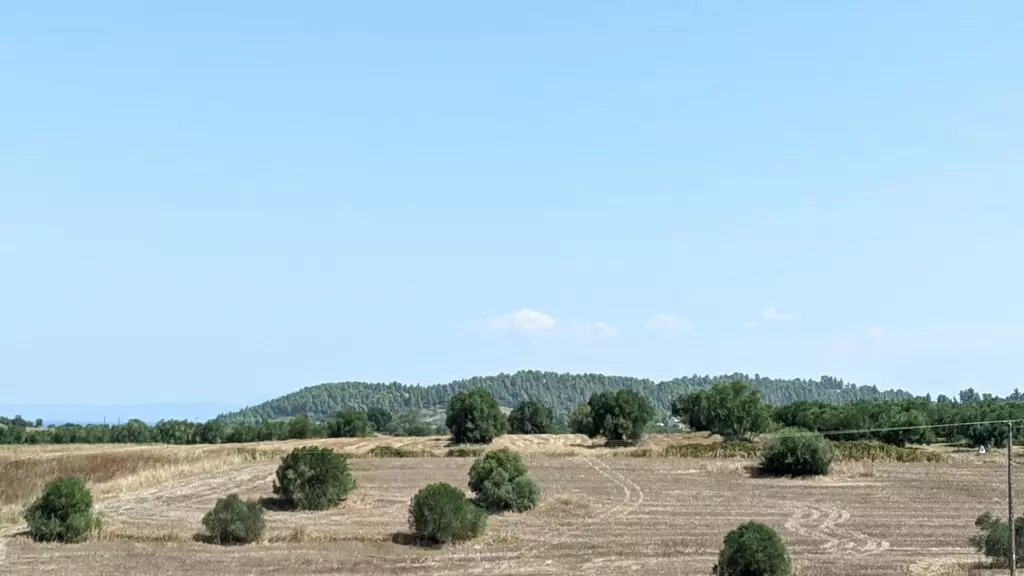 Land In Kassandra, Greece