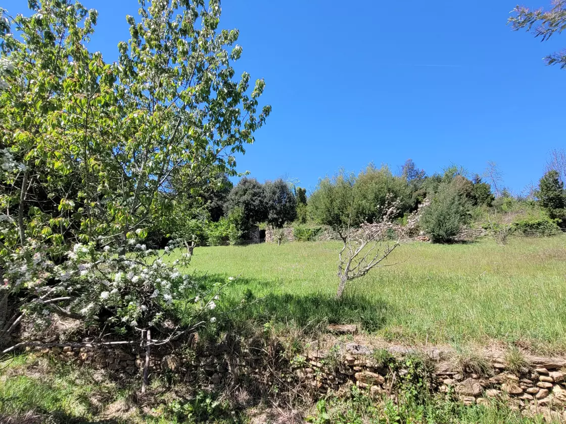 House In Saint Gervais Sur Mare, France (100 M²)