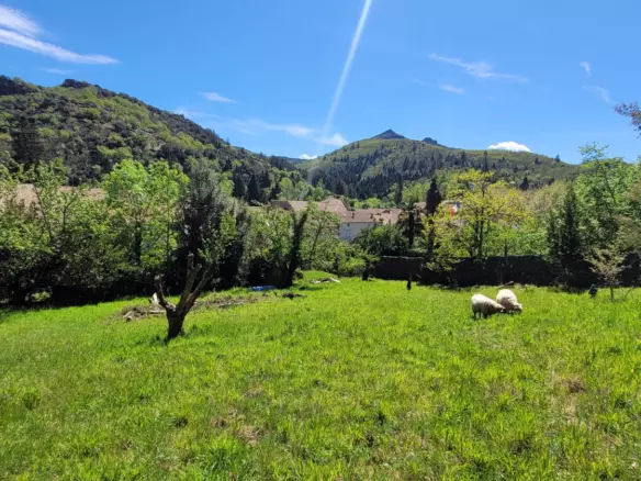 House In Saint Gervais Sur Mare, France (100 M²)
